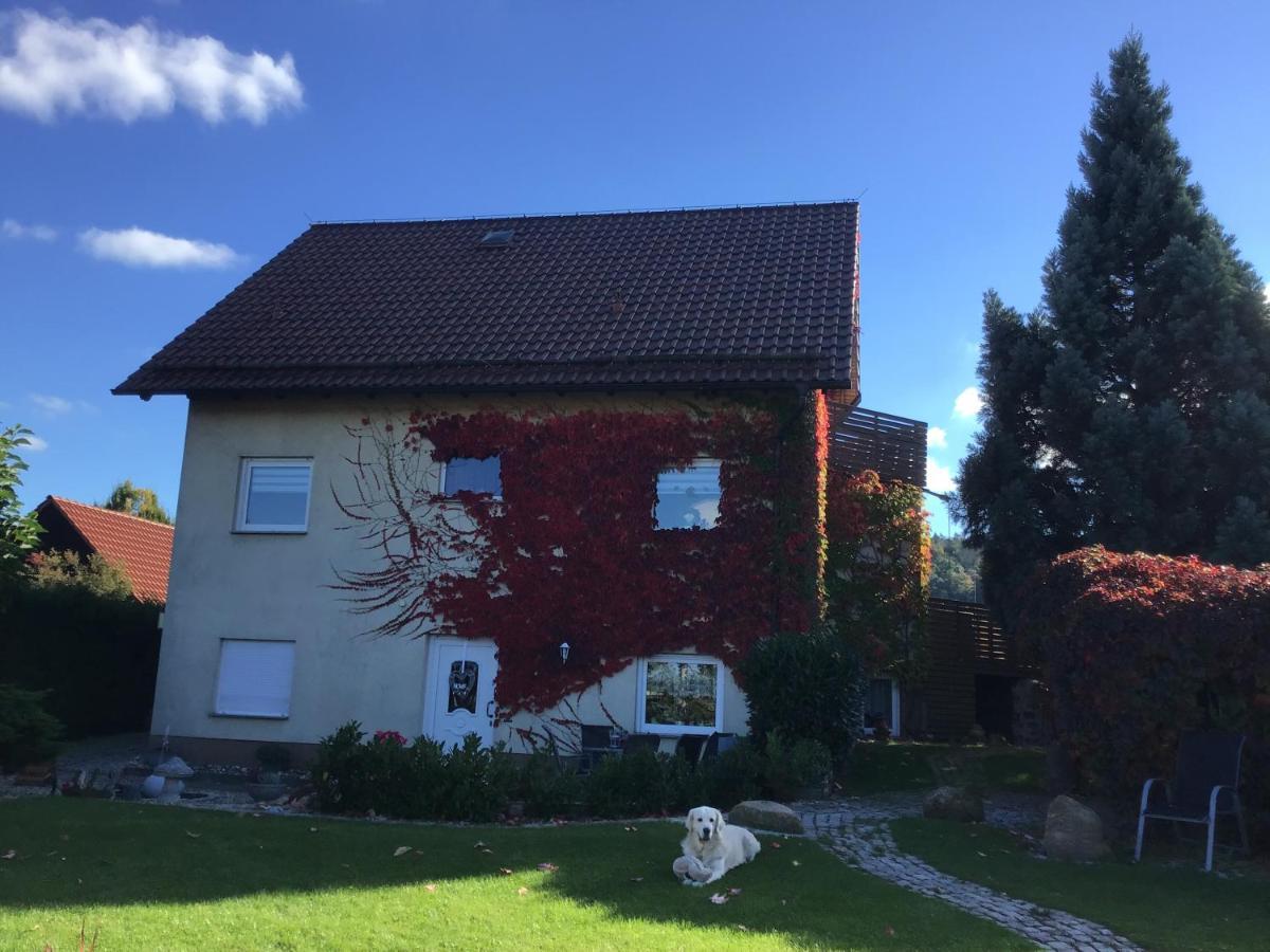 Ferienwohnung Elli Gernrode  Extérieur photo